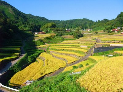 🏞️ 이니 계단식 논(이니노타나다) 이미지 2